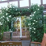 Ruegen-Cottage Sauna Kamin 8 Personen Feriehus *