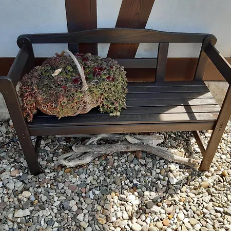 Holiday home Ruegen-cottage Dranske